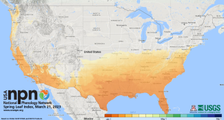 USA NPN spring leaf index map Mar 21 2023