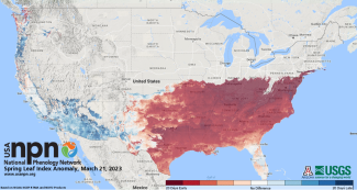 USA NPN map of spring timing, Mar 21 2023