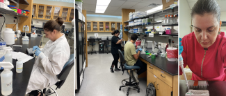 Students in the Martin lab