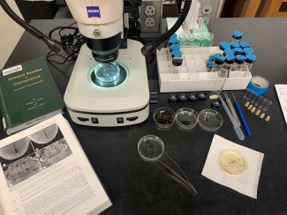 Using a microscope in the lab