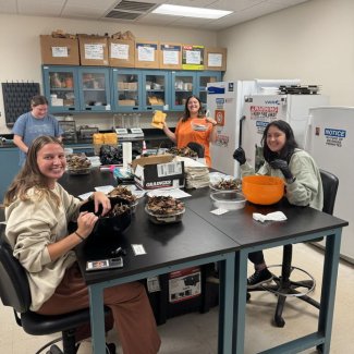 People around a lab table sorting soil cores