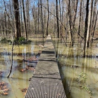 Flooded field site