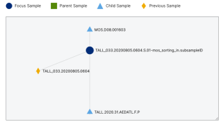 Graph of sample relationships
