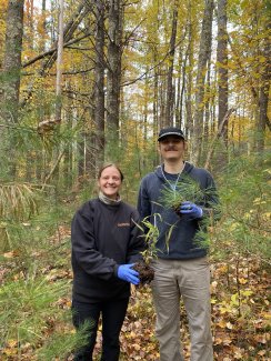 Two people collecting soil samples in the forest