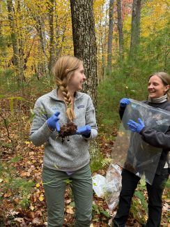 Two people collecting samples in the forest