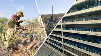 Observational and instrumentation data collection and Biorepository samples