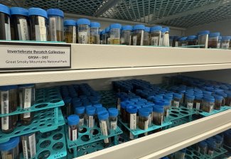 Vials of invertebrate bycatch specimens at the NEON Biorepository