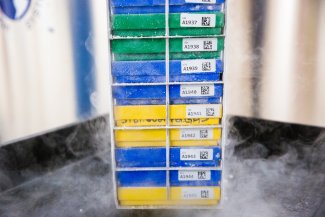 Cryogenic samples pulled out of storage