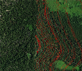 2020 NIWO reflectance data with pixels that have spectral outliers in red