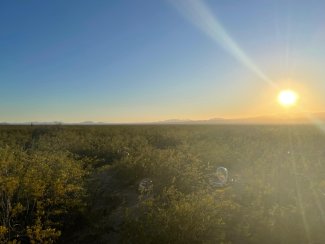 H2 flux chambers at SRER NEON field site at sunset
