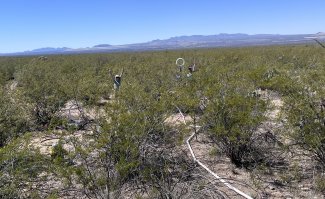 Laura Meredith's research team in the field at SRER field site