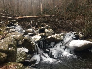 LeConte Creek NEON with ice