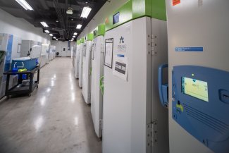 photo of -80 degree freezers