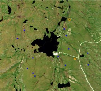 NEON remote sensing data with terrestrial plots indicated at TOOK field site