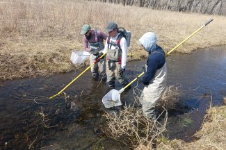 Field technicians in river conducting fish sampling at the NEON ARIK field site.