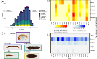 Figure showing results of A. J. Pignatelli and T. A. Dallas research on aquatic macroinvertebrate communities