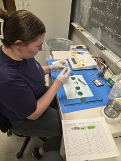 A student prepares samples for stable isotope analysis during IsoCamp