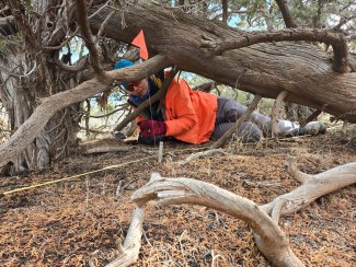 Alexi Besser conducting fieldwork at the MOAB field site