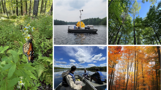 Five photos representing Domain 05 field sites, three forest photos and two lake photos