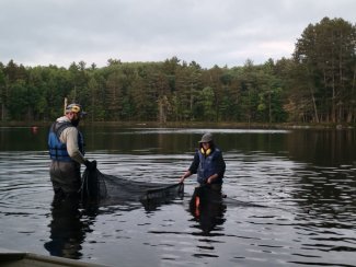 Aquatic ecologists moving nets in Little Rock Lake.