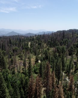 View of the SOAP field site from the top of the tower