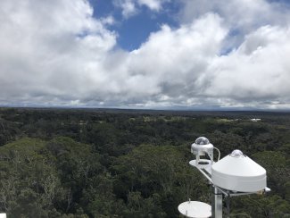 View of PUUM landscape from the flux tower
