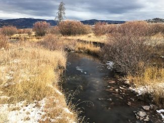 Blacktail Creek (BLDE) in October