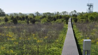 Boardwalk to the BLAN tower