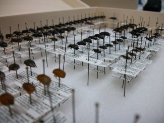 Beetle collection from beetle sampling