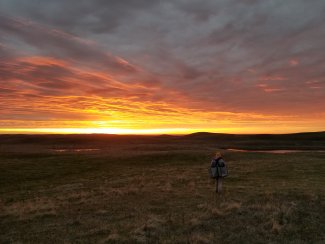 Small mammal sampling at DCFS at sunset