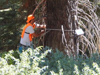 Andrew Fricker used AOP data to train a Convolution Neural Network (CNN) to identify trees at TEAK