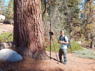 Andrew Fricker trained a Convolution Neural Network (CNN) to identify trees at TEAK