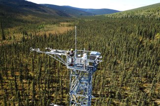 Flux tower at the BONA field site