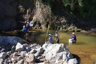 Fish sampling at GUIL