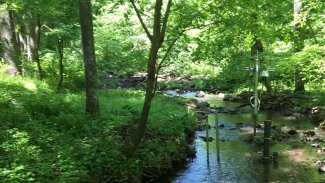 Aquatic stream site at Posey Creek