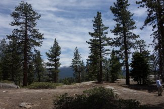 Trees and mountains at SJER