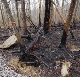 Photos of wildfire damage at GRSM. Associated article "NEON's Great Smoky Mountains Data will capture Tennessee fire impacts on local ecology"