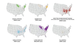 Map of tickborne diseases by geographic area of the U.S. in 2018