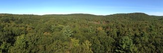 Canopy at HARV site