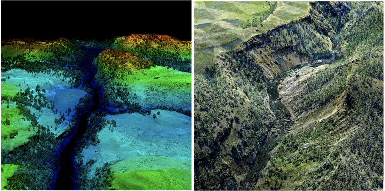 Data products from YELL (D12) site. Left: Digital surface model. Right: Discrete lidar point cloud colorized by RGB camera imagery.