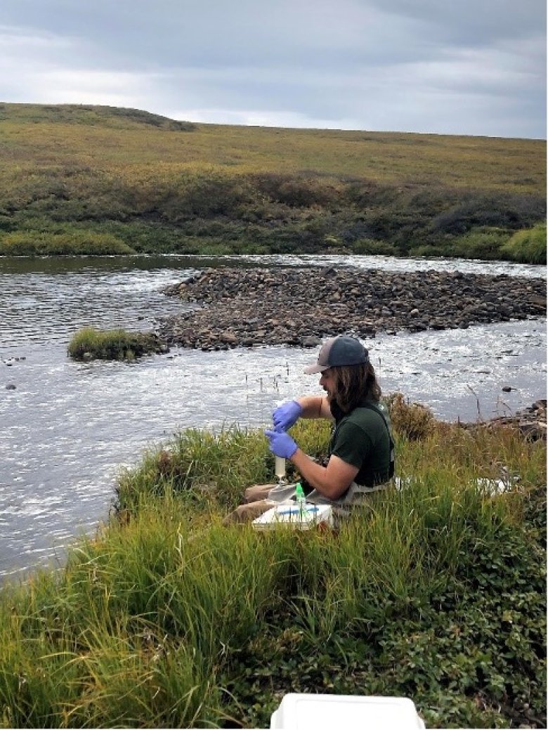 A NEON field ecologist collects benthic microbes from a rock scrub at D18 OKSR (Photo by Josh Monroe)