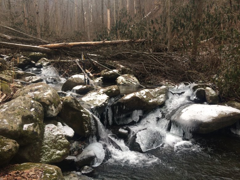 LeConte Creek aquatic site