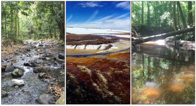 Stream morphology is highly variable in watersheds across the United States. Left to right: examples of different geomorphic conditions at NEON aquatic monitoring sites in Domain 04 Río Cupeyes (CUPE), Domain 19 Oksrukuyik Creek (OKSR), and Domain 08 Mayfield Creek (MAYF).