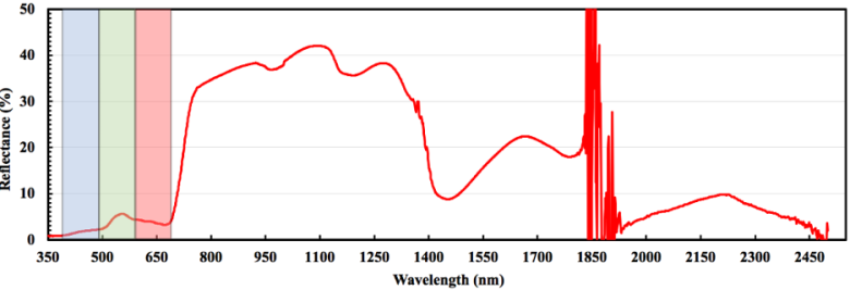 Figure 1 - Live vegetation reflectance curve