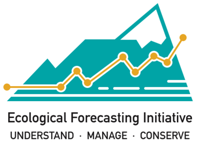 EFI logo
