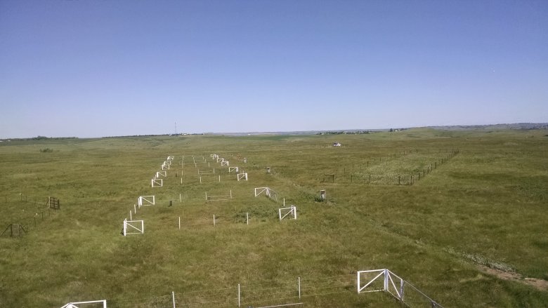 Soil plots at CPER