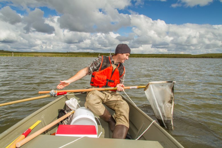 Field technician doing aquatic observational sampling