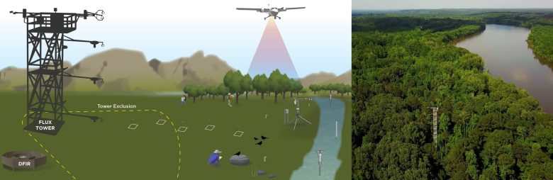 Left: Schematic of colocated data collection at aquatic field sites; Right: The Domain 08 Lenoir Landing tower rising out of the forest near the Lower Tombigbee river aquatic site.