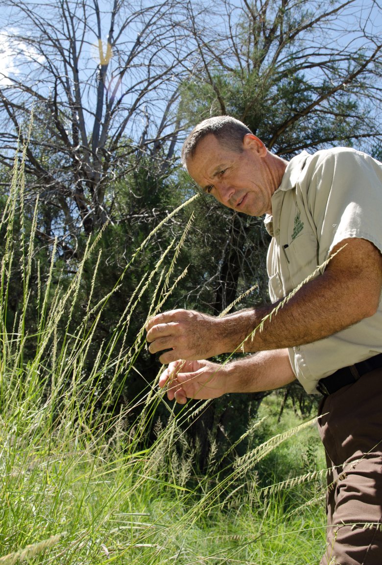 man in grass